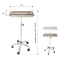 Beauty Trolley Cart Salon Spa tattoo Service Styling Equipment Tool Stand